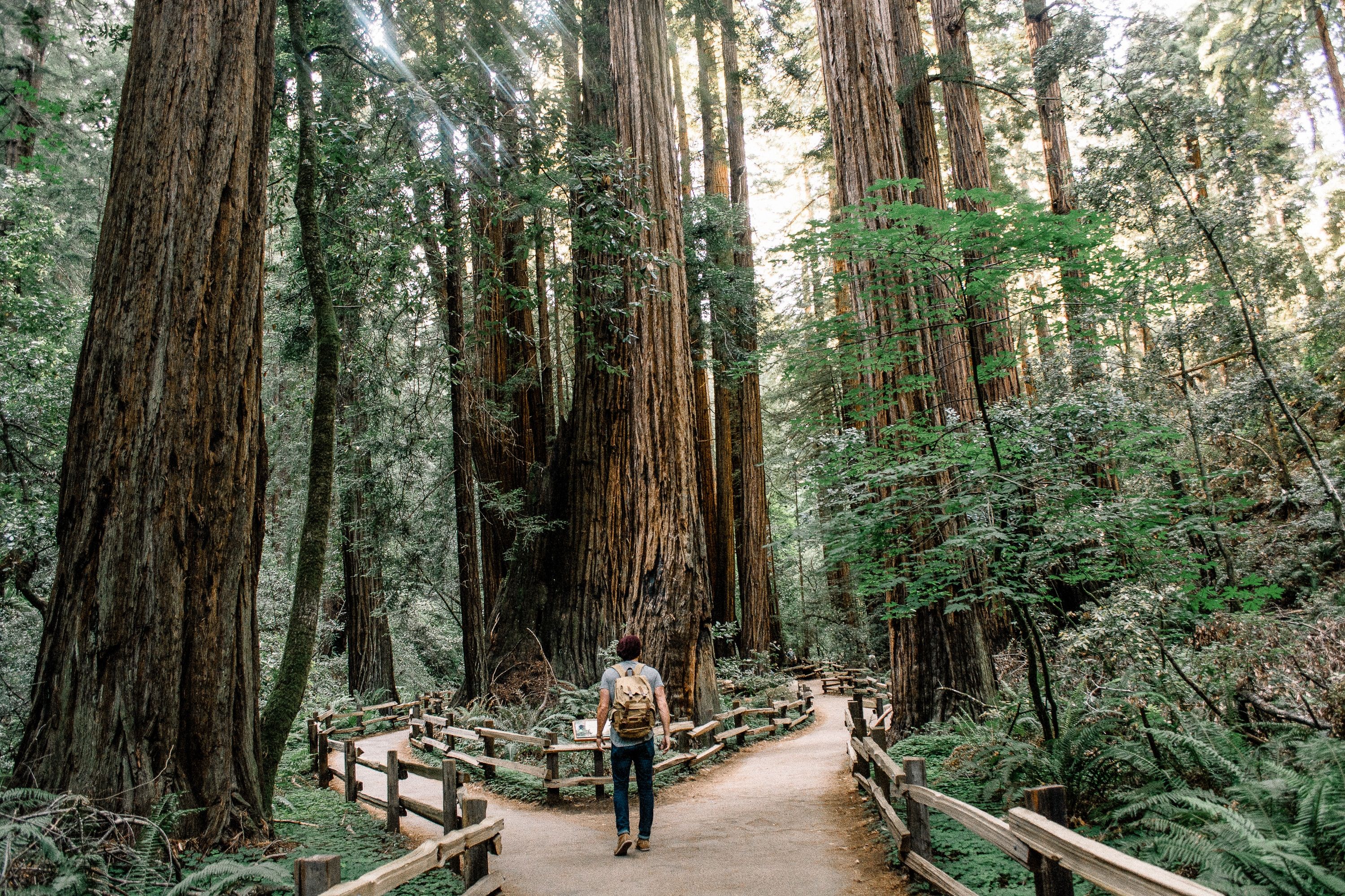 "Photo by <a href="https://unsplash.com/@gcalebjones?utm_source=unsplash&utm_medium=referral&utm_content=creditCopyText">Caleb Jones</a> on <a href="https://unsplash.com/photos/J3JMyXWQHXU?utm_source=unsplash&utm_medium=referral&utm_content=creditCopyText">Unsplash</a>"